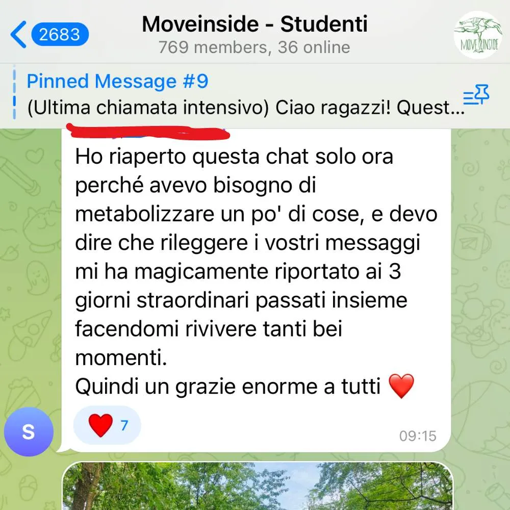 Messaggio di ringraziamento di un partecipante